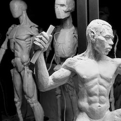 Toronto School of Art, 3D Anatomy: Figure Sculpture
